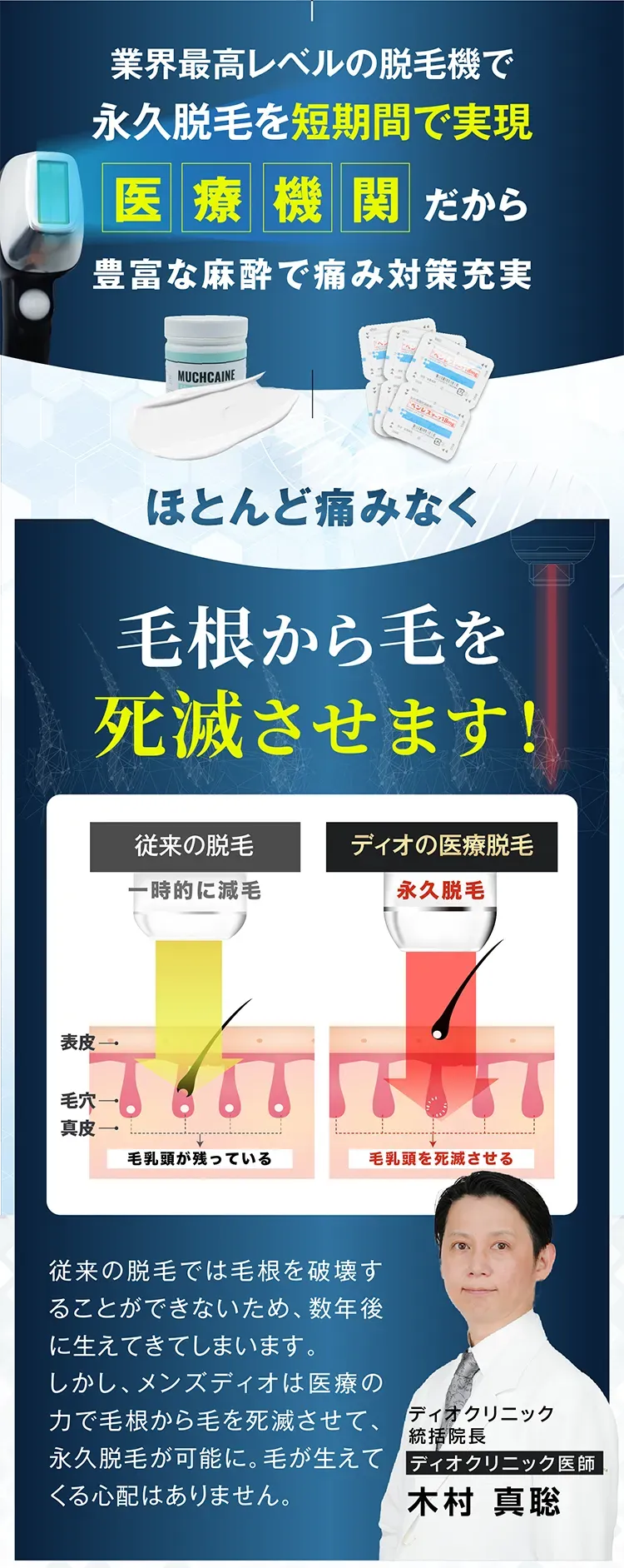 毛の根から毛を死滅させます
