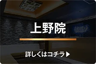 上野院